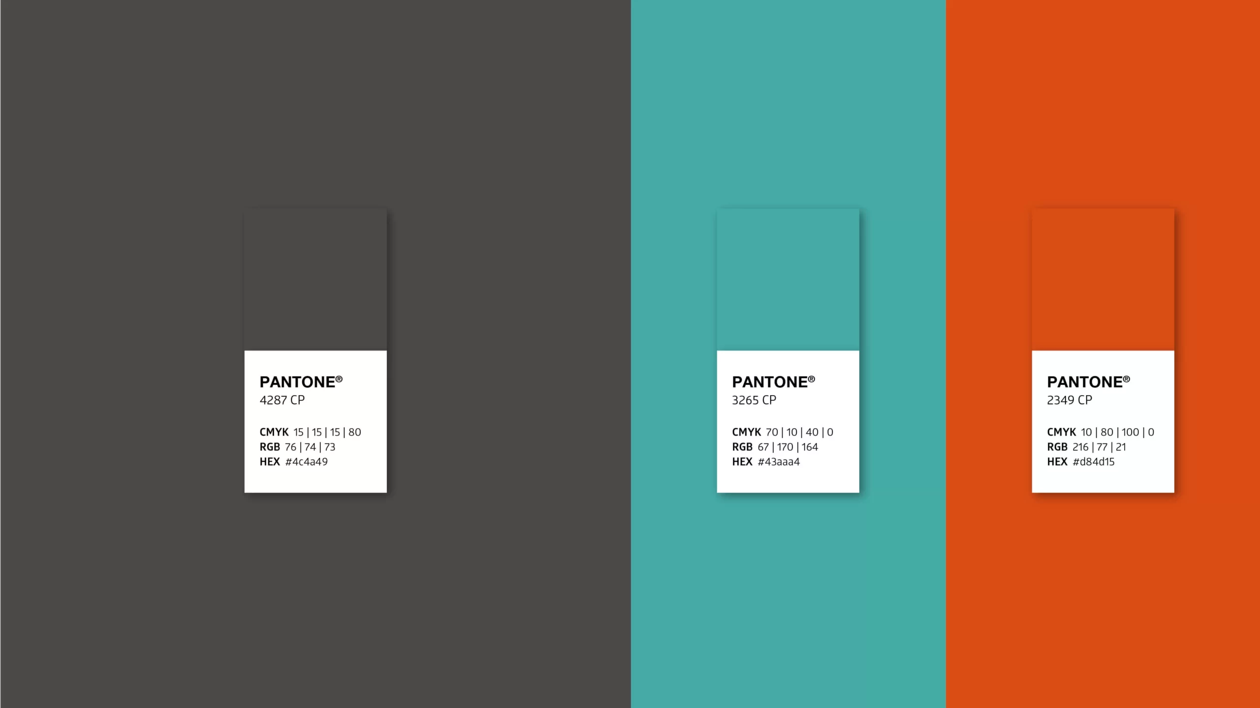 design-portfolio-maxincorp-01